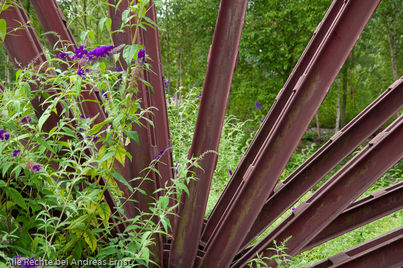 Möhnesee und Ruhr 2010
