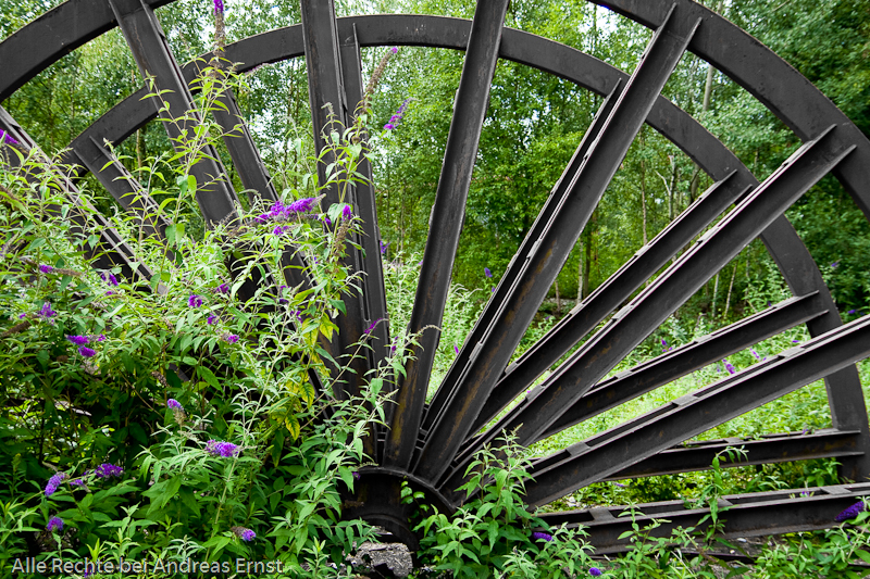 Möhnesee und Ruhr 2010