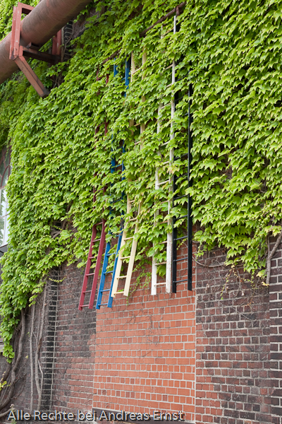 Möhnesee und Ruhr 2010